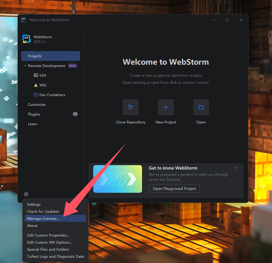 JetBrains2025.3.1全家桶，安装、激活和汉化全教程